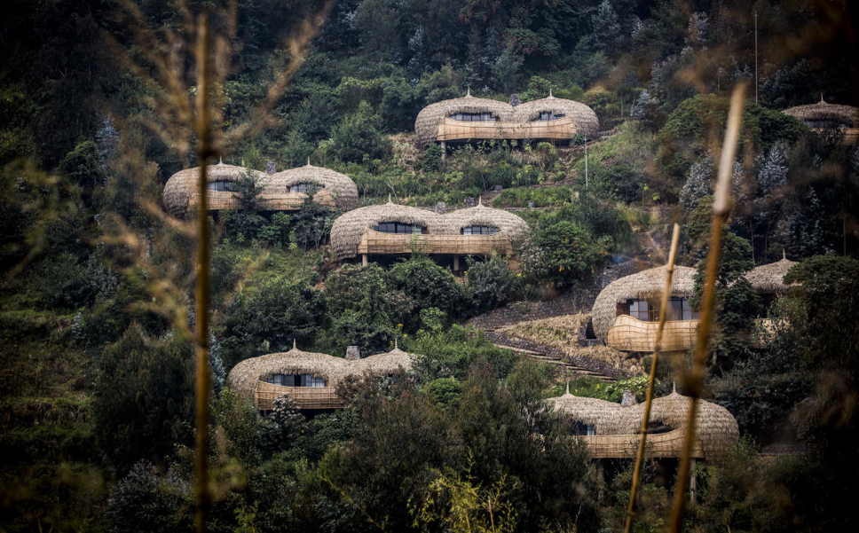 Like giant birds’ nests tucked into the trees, the six Forest Villas that make up Wilderness Bisate at Volcanoes National Park are simply breath-taking. And arguably the finest base in Africa from which to trek to see the famous mountain gorillas of the Virungas. 