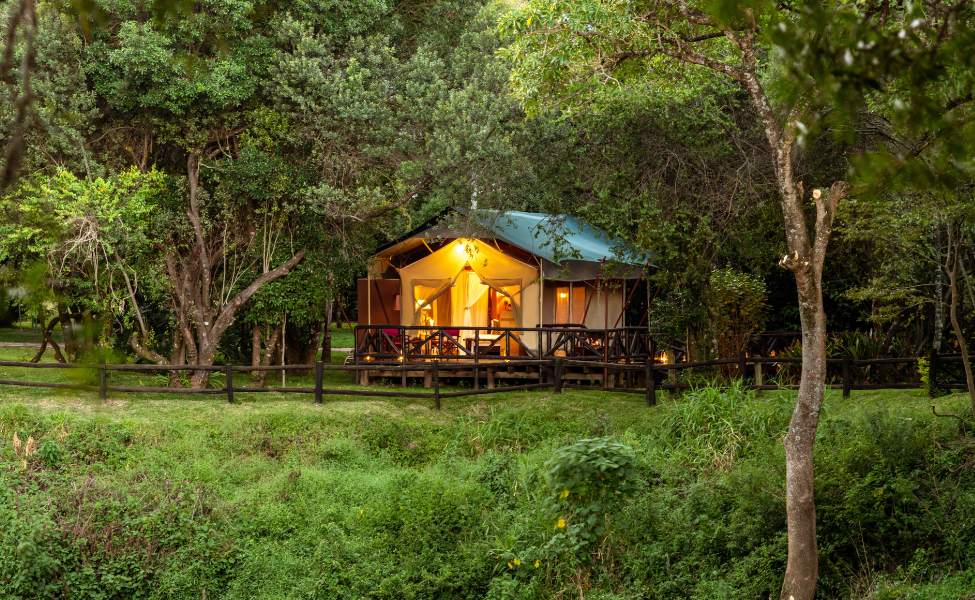 Camp Okavango Room⁠