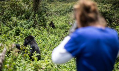 Gorilla Trekking in Rwanda