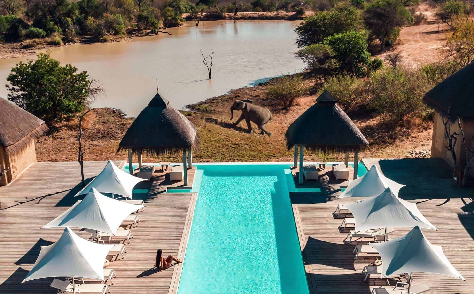 Watch wildlife from the lodge pool.