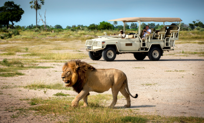 Private Game Drive at Xigera Safari Lodge