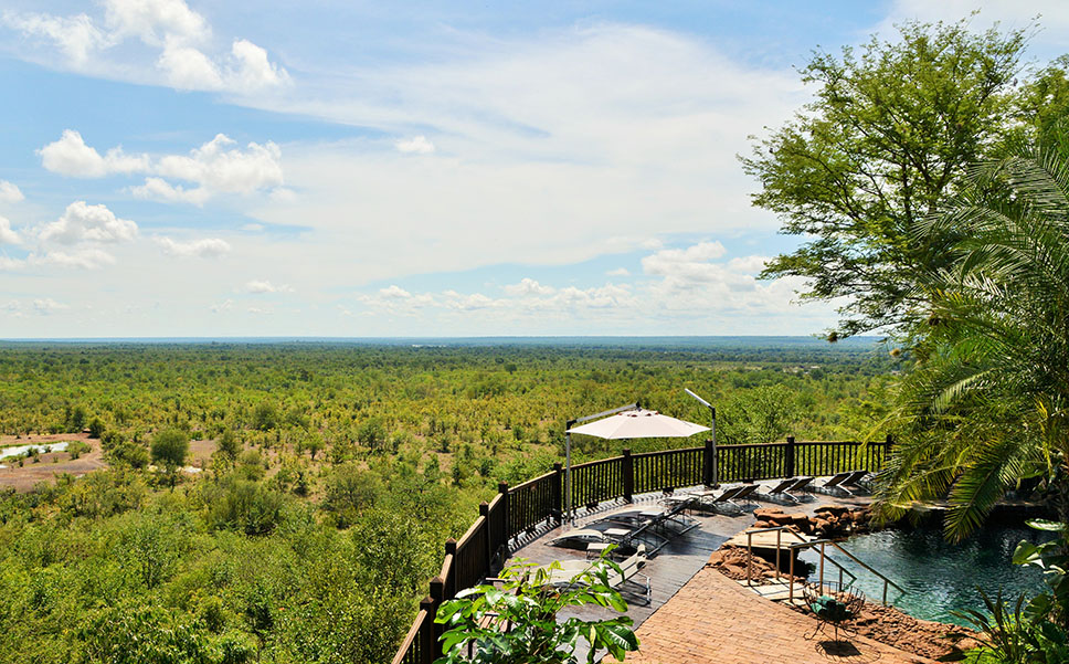 Watch wildlife from the lodge pool.